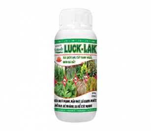 luck-lak-1